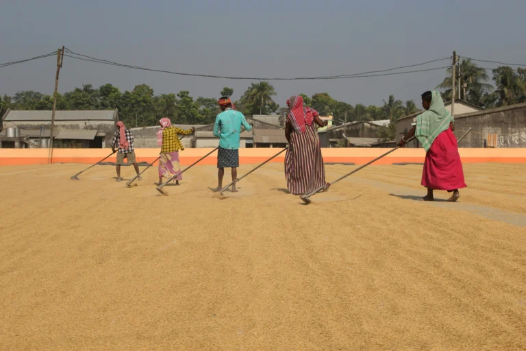 India’s Welfare State Reforms: From Constitutional Commitment to Digital Governance and Rural Employment Overhaul